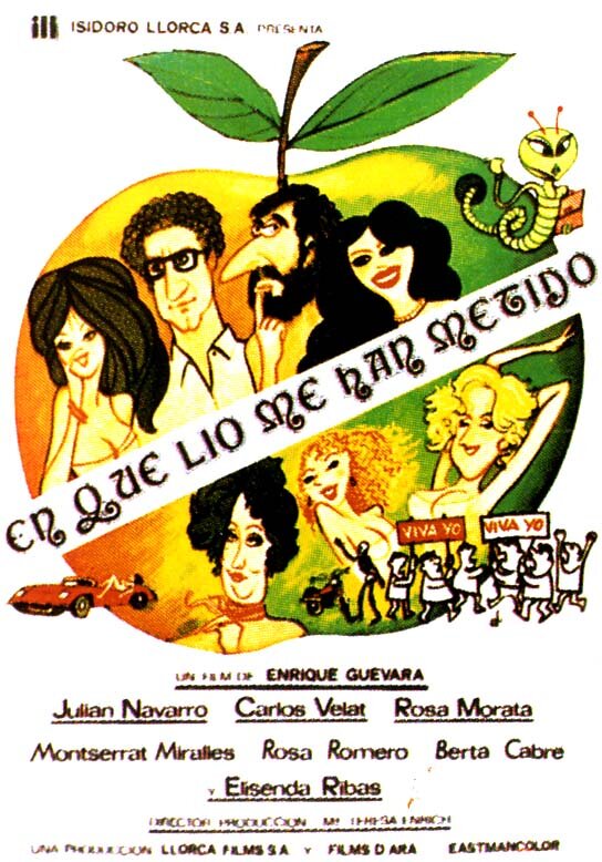 ¡En qué lío me han metido! (1980) постер